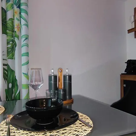 Apartment Gemuetliche Wohnung, Kueche, Bad, Netflix, Rheinblick *