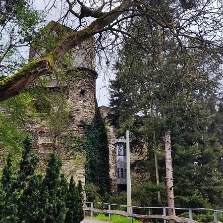 Gemuetliche Wohnung, Kueche, Bad, Netflix, Rheinblick *