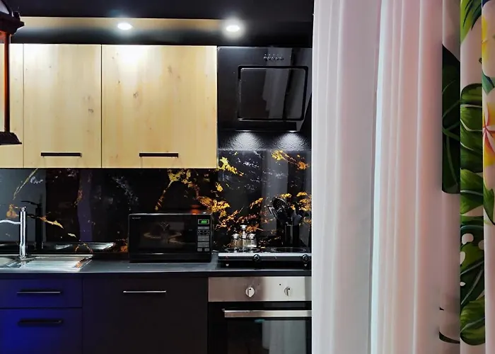 Gemuetliche Wohnung, Kueche, Bad, Netflix, Rheinblick アパート