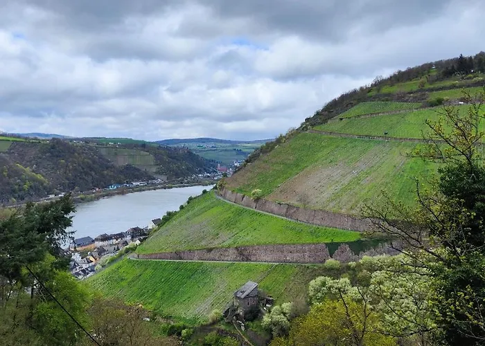 Gemuetliche Wohnung, Kueche, Bad, Netflix, Rheinblick アパート カウプ