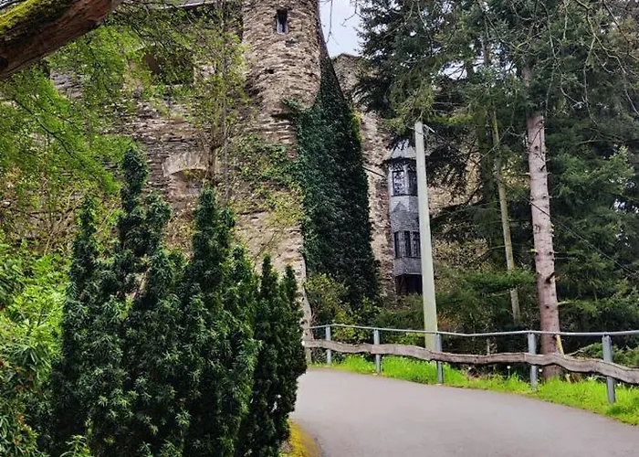 Gemuetliche Wohnung, Kueche, Bad, Netflix, Rheinblick