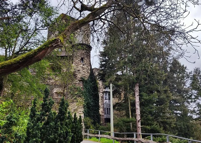 Gemuetliche Wohnung, Kueche, Bad, Netflix, Rheinblick *